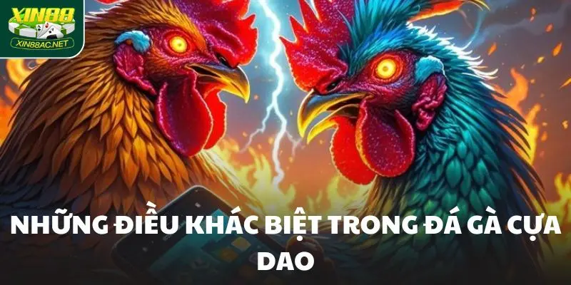 da ga cua dao dac biet Những điều khác biệt trong Đá Gà Cựa Dao