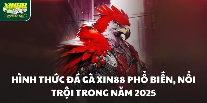 Hình thức đá gà XIN88 phổ biến, nổi trội trong năm 2025