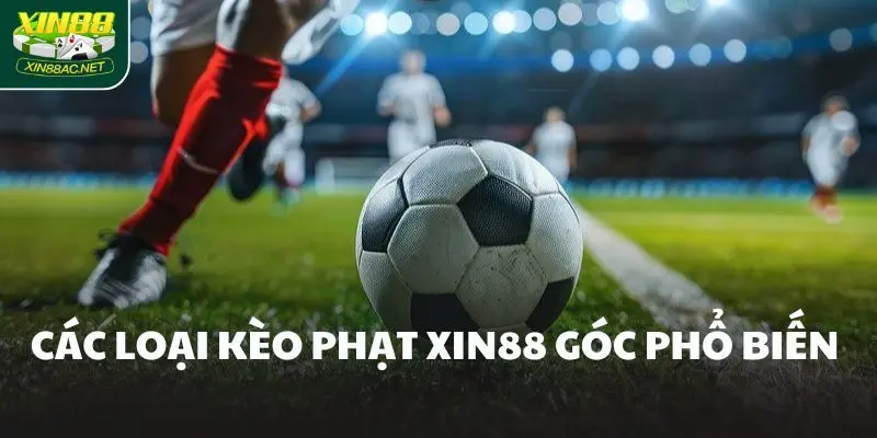Các loại kèo phạt Xin88 góc phổ biến 