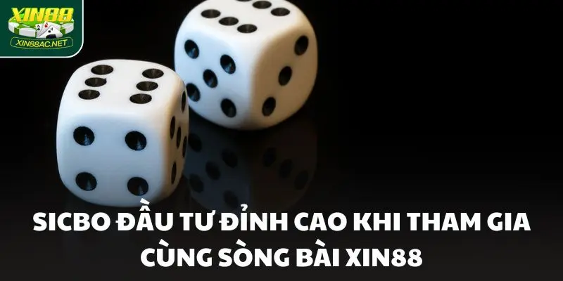 Sicbo đầu tư đỉnh cao khi tham gia cùng Sòng bài Xin88